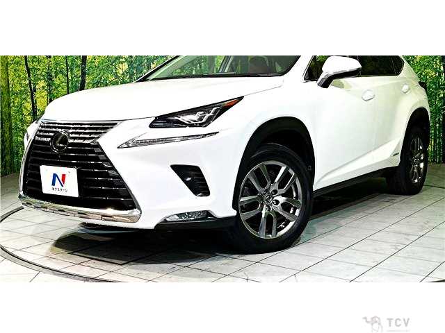 2020 Lexus NX