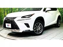 2020 Lexus NX