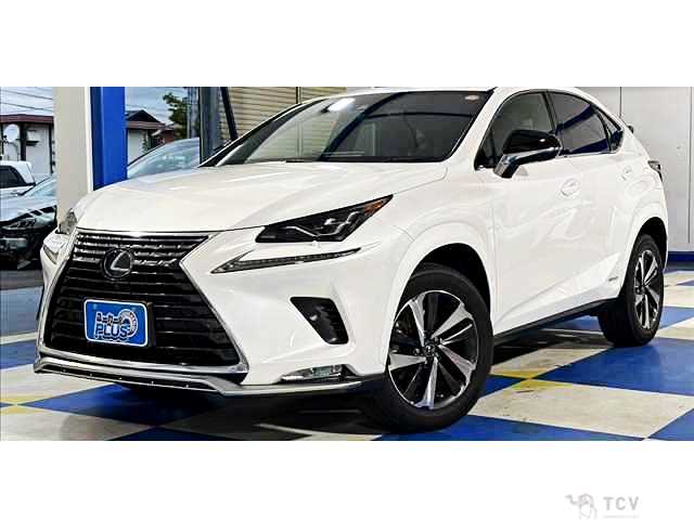 2020 Lexus NX