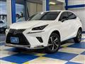 2020 Lexus NX