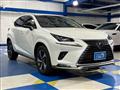 2020 Lexus NX