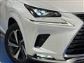 2020 Lexus NX