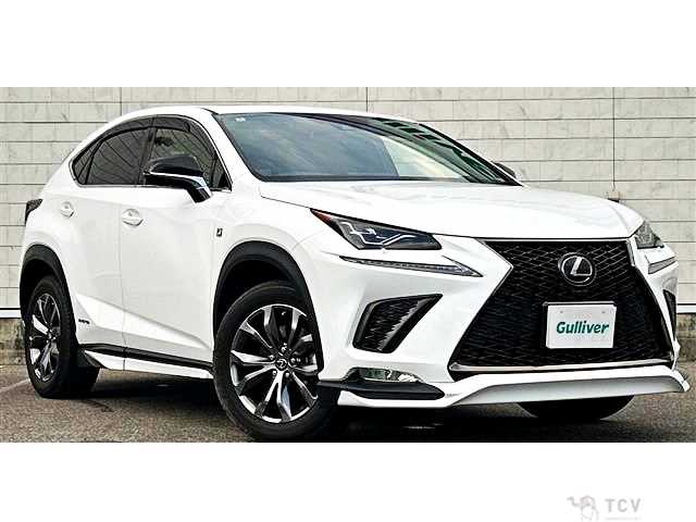 2020 Lexus NX