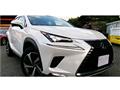 2020 Lexus NX