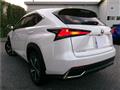 2020 Lexus NX