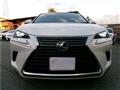 2020 Lexus NX