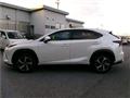 2020 Lexus NX
