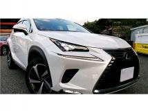 2020 Lexus NX
