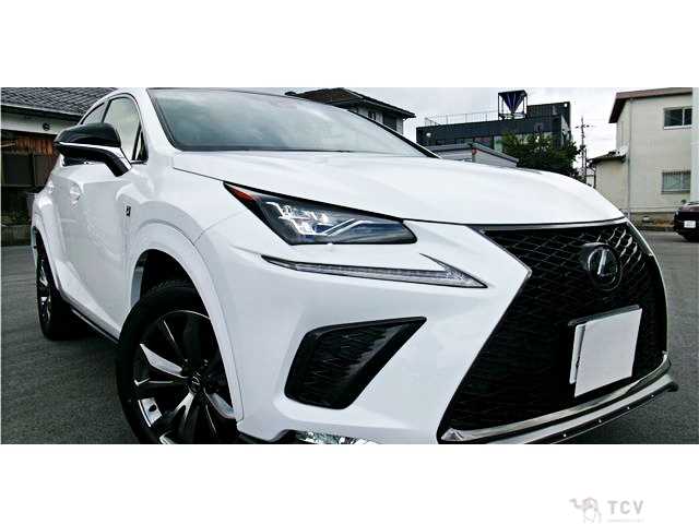 2020 Lexus NX