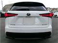 2020 Lexus NX