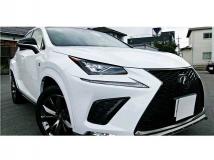 2020 Lexus NX