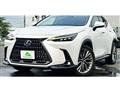 2022 Lexus NX
