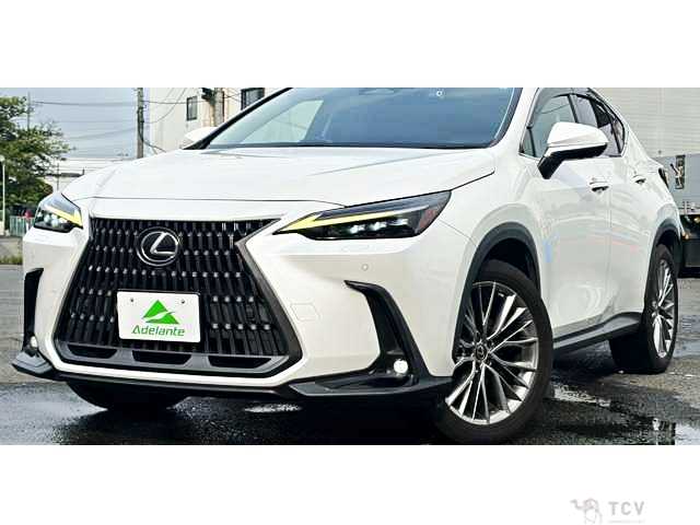 2022 Lexus NX