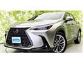 2022 Lexus NX