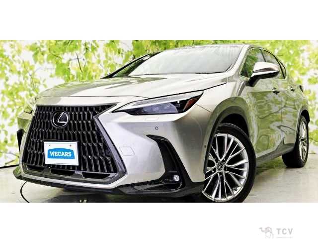 2022 Lexus NX