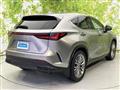 2022 Lexus NX