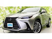 2022 Lexus NX
