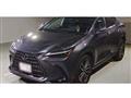 2022 Lexus NX