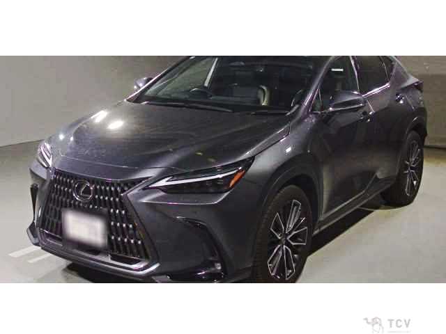 2022 Lexus NX
