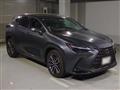2022 Lexus NX