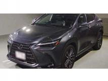 2022 Lexus NX