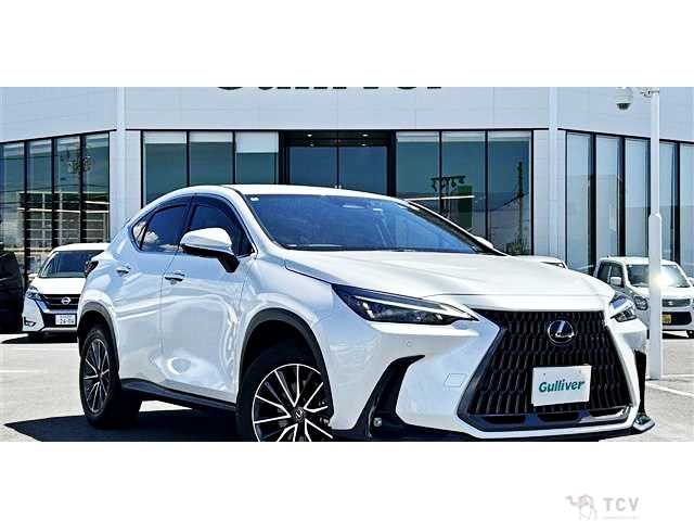 2022 Lexus NX
