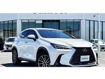2022 Lexus NX