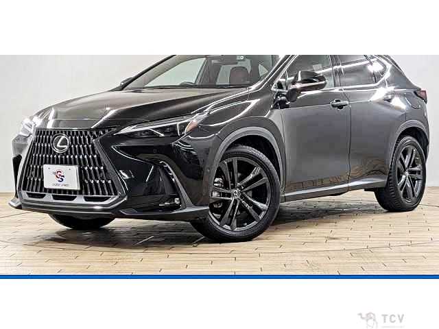 2022 Lexus NX