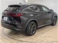 2022 Lexus NX
