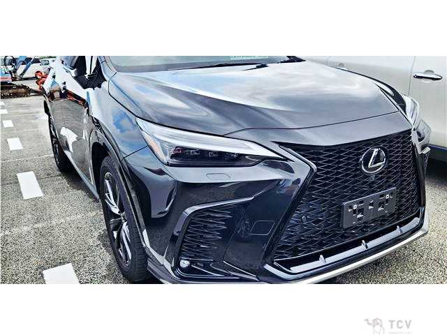 2022 Lexus NX