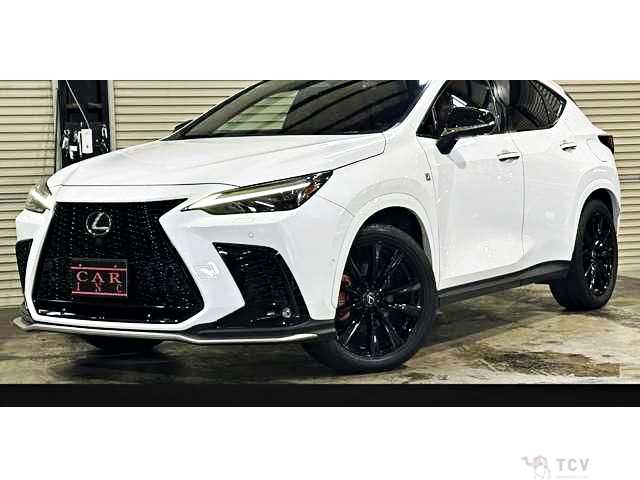 2022 Lexus NX
