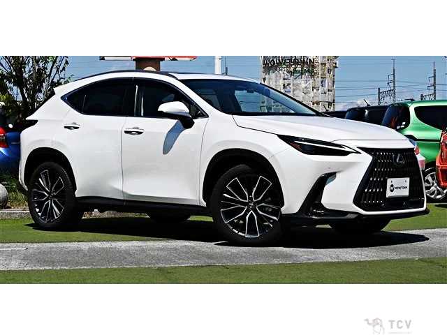 2022 Lexus NX