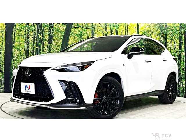 2022 Lexus NX
