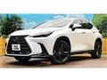 2022 Lexus NX