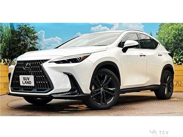 2022 Lexus NX
