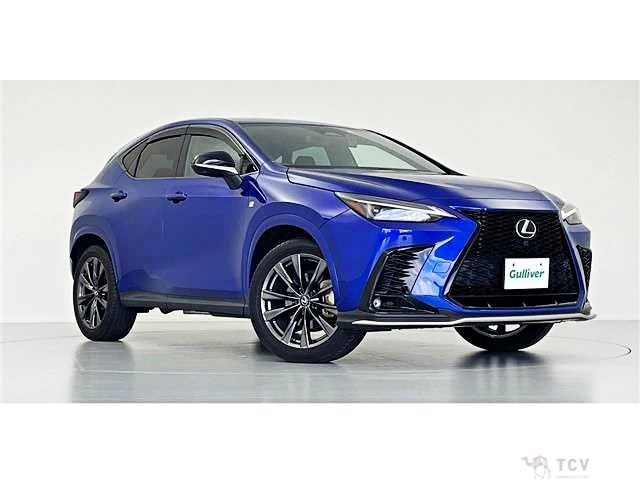 2022 Lexus NX