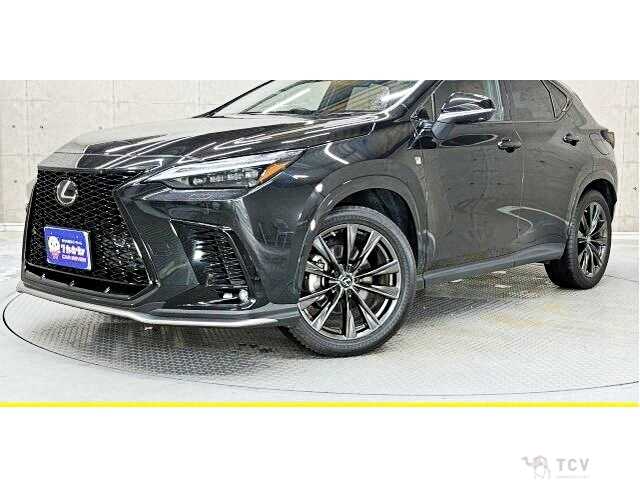 2022 Lexus NX
