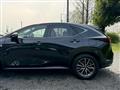 2022 Lexus NX
