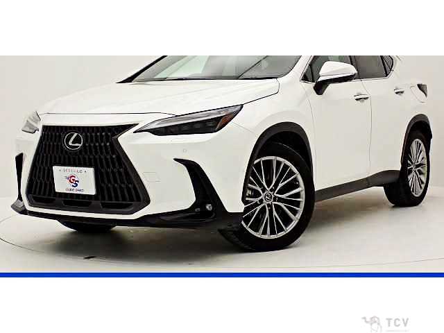 2022 Lexus NX