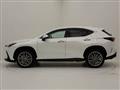 2022 Lexus NX