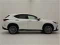 2022 Lexus NX
