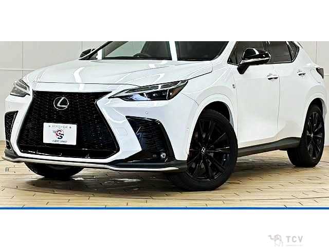 2022 Lexus NX