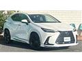 2022 Lexus NX