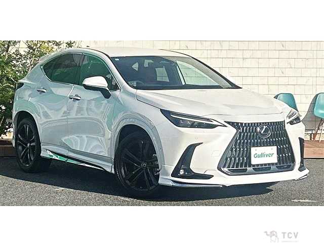 2022 Lexus NX