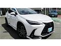2022 Lexus NX