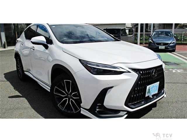 2022 Lexus NX