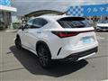 2022 Lexus NX