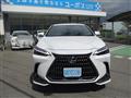 2022 Lexus NX