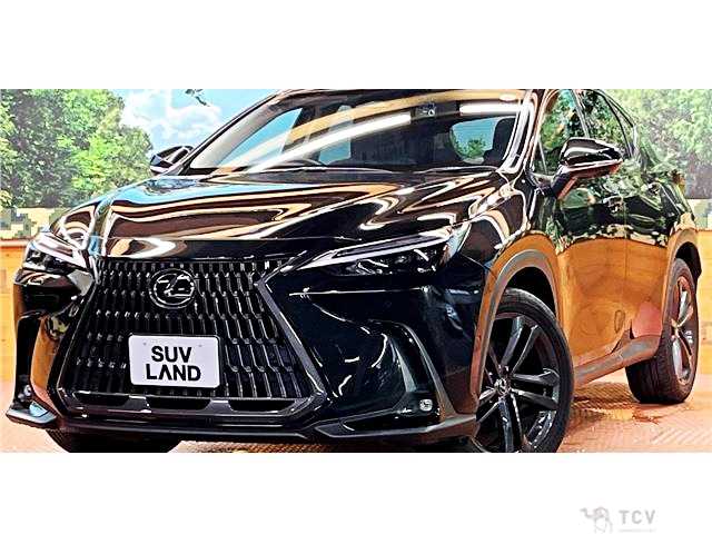 2022 Lexus NX