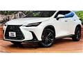 2022 Lexus NX